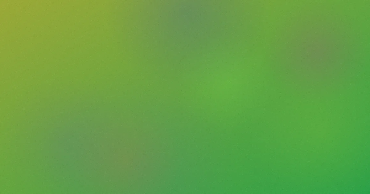 一级片在线免费观看推荐原则